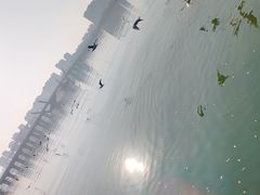 -蠡湖大桥公园