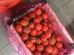 -周震馄饨