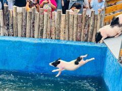 -水上乐园·欢乐世界