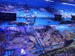 -渔民船说·北塘海鲜·天津菜·海肠捞饭(北塘古镇店)