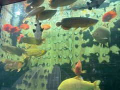 -弘安丽水温泉酒店