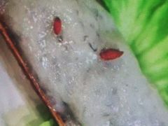 -海底捞火锅(邯郸新世纪中心店)