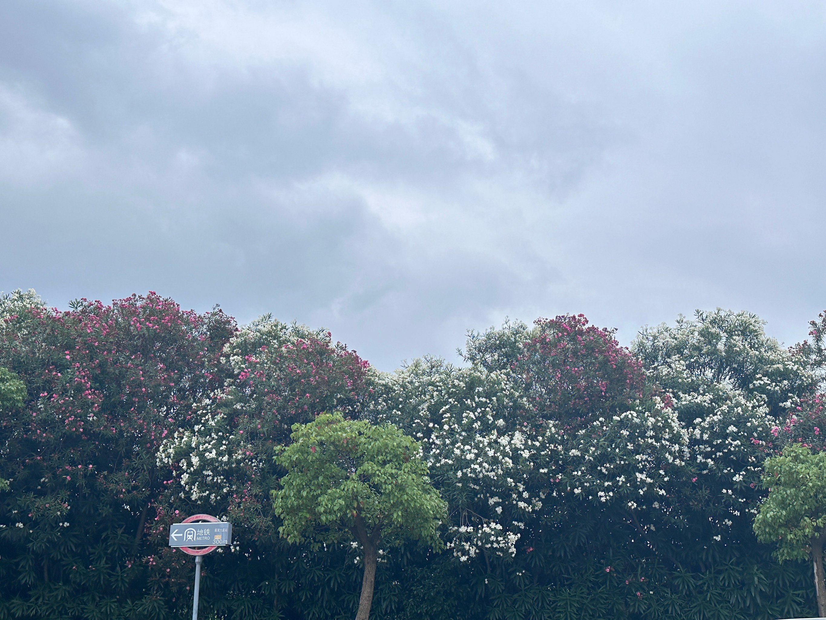 清新雨后空气