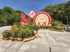 -南山植物园