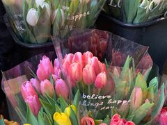 -循礼门鲜花花市(武汉循礼门店)