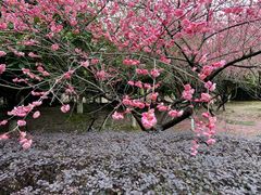 -白塘生态植物园