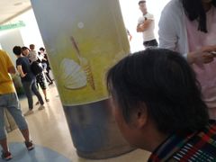 -上海市第一人民医院(松江南部)