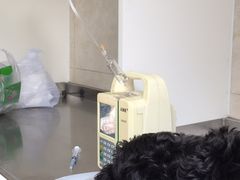 -酷宠动物医院(天通西苑店)