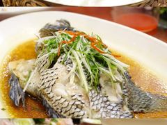 -都市阳光海鲜城(青山湖店)