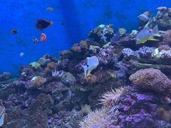 -成都浩海立方海洋公园