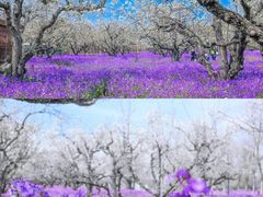-江苏三台山国家森林公园