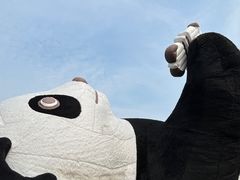-苏州太湖国家湿地公园