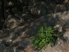 -云龙山