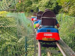 -藏龙百瀑风景区