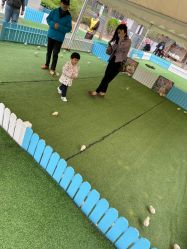 -萌宠亲子动物乐园(槐房万达店)