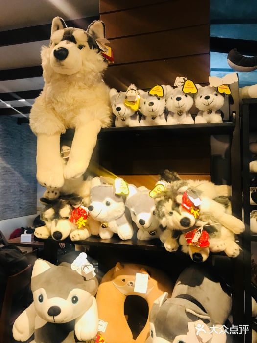 TrueLove @ Neverland (Husky Cafe)图片