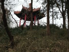 -黄村公园