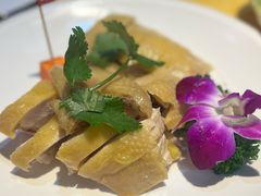 -新高记·粤菜·湛江鸡(南头古城店)