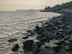 -深圳湾公园(南山区)