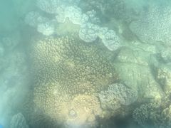 -亚龙湾海底世界