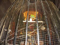 -深圳东部华侨城茵特拉根酒店