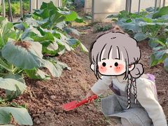 -前小桔亲子创意农场·草莓采摘·露营烧烤