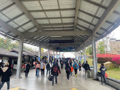 -朱家尖蜈蚣峙码头