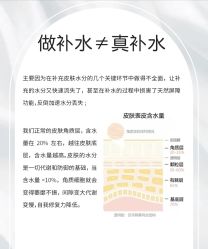点击看大图 -玛莲朵·海菲秀冰珀科