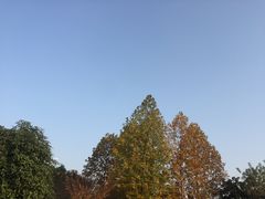 -钟山体育运动公园