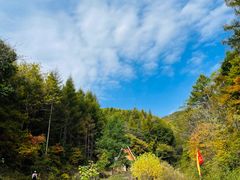 -天女山森林公园
