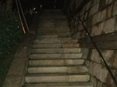 -深圳湾公园-停车场