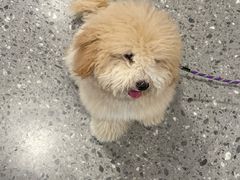 -深圳湾万象城(南山店)