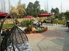 -森居forest休闲咖啡聚集地