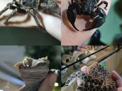 -藦茜花园宠物主题亲子互动体验馆(国顺东路店)
