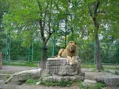 -上海野生动物园