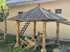 -石家庄市动物园