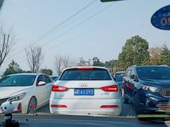 -铁山坪森林公园