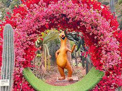 -呀路古热带植物园