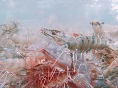 -盒马鲜生(曜一城店)