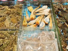 -连鹭海鲜·海肠捞饭·海胆饭(星海店)