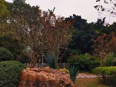 -晓港公园