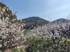 -白马涧龙池景区