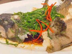 -彩丰楼中餐厅·早茶·点心·粤菜(海口华彩洲际酒店)