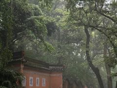 -天台山景区