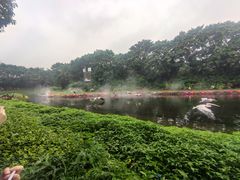 -广州长隆飞鸟乐园