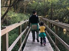 -岳西天峡风景区