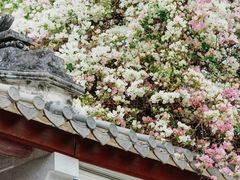 -深圳国际园林花卉博览园