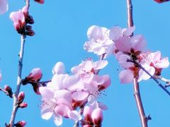 -鹫峰国家森林公园