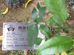 -广州神农草堂中医药博物馆