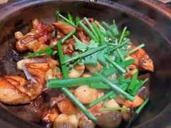 五指毛桃啫鸡-晓粤·惹味粤菜(凯德乐峰广场店)